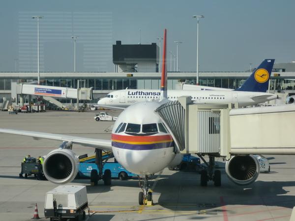 CIMG0764_resize.JPG